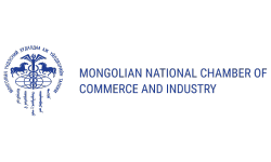 International Partner 2
